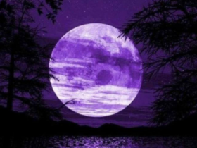 紫月