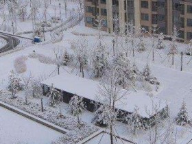 北京下雪了