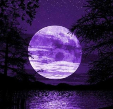 紫月